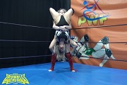 female prowrestling