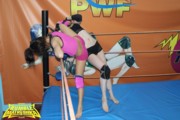 female wrestling